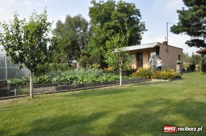 Zdjęcie w galerii na portalu naszraciborz.pl: Działkowcy z Ostroga świętują 90-lecie  wiadomości z regionu