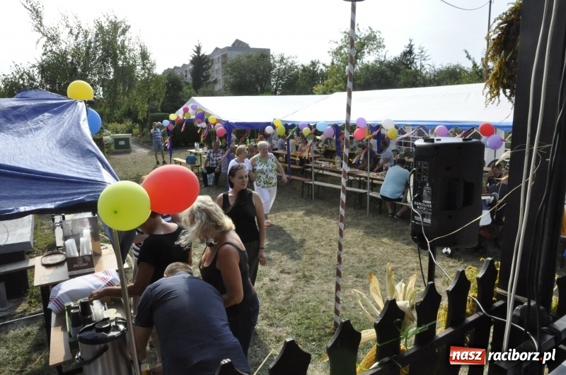 Zdjęcie w galerii na portalu naszraciborz.pl: Działkowcy z Ostroga świętują 90-lecie  wiadomości z regionu