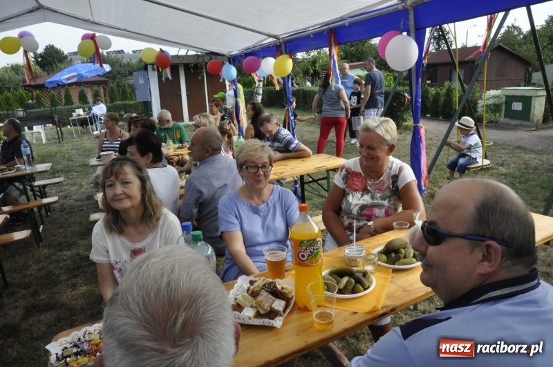 Zdjęcie w galerii na portalu naszraciborz.pl: Działkowcy z Ostroga świętują 90-lecie  wiadomości z regionu