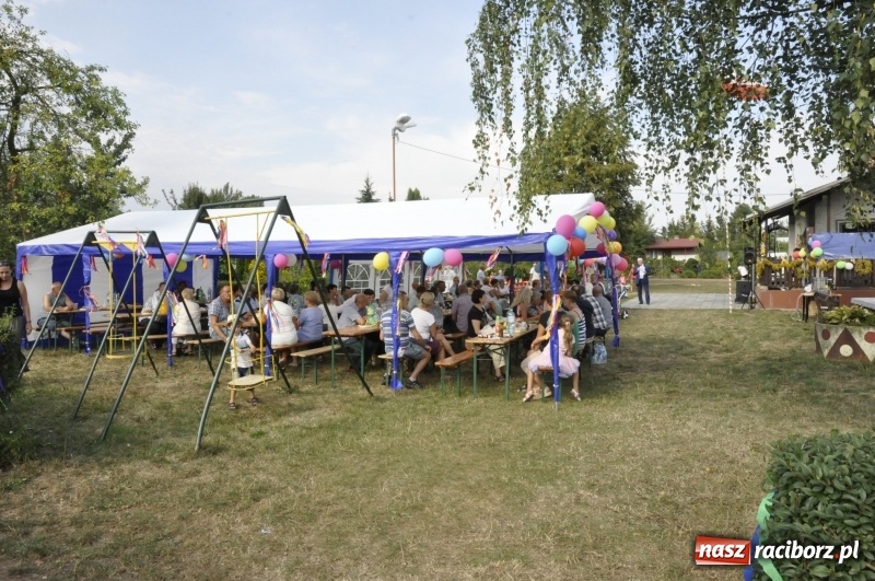 Zdjęcie w galerii na portalu naszraciborz.pl: Działkowcy z Ostroga świętują 90-lecie  wiadomości z regionu