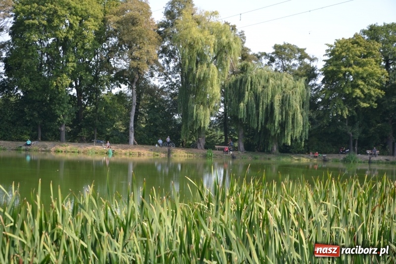 Zdjęcie w galerii na portalu naszraciborz.pl: 35-lecie koła PZW Krzyżanowice świętowano na Trzecioku  wiadomości z regionu