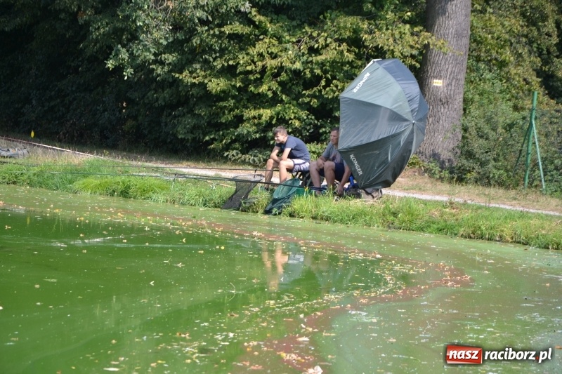 Zdjęcie w galerii na portalu naszraciborz.pl: 35-lecie koła PZW Krzyżanowice świętowano na Trzecioku  wiadomości z regionu