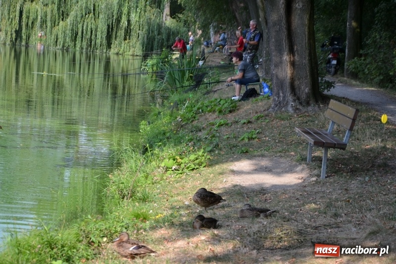 Zdjęcie w galerii na portalu naszraciborz.pl: 35-lecie koła PZW Krzyżanowice świętowano na Trzecioku  wiadomości z regionu