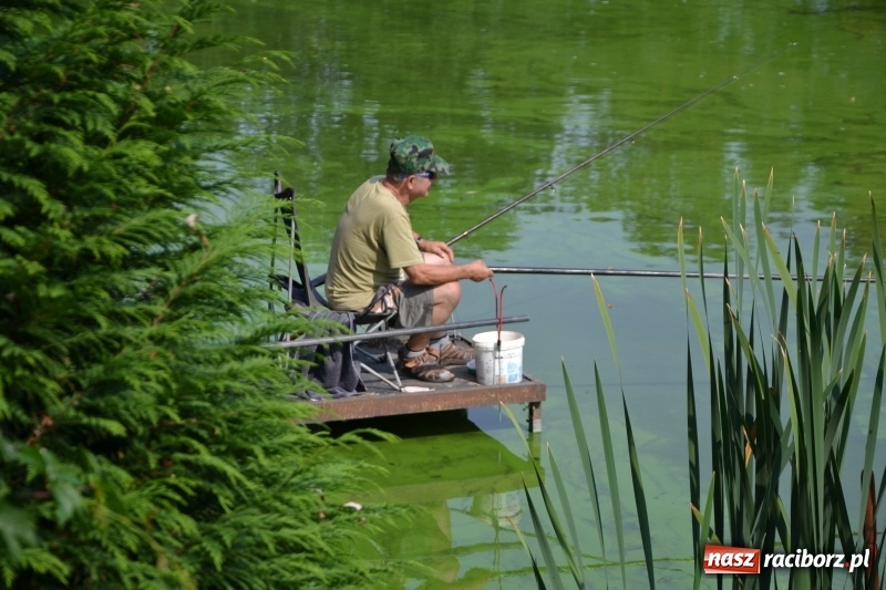 Zdjęcie w galerii na portalu naszraciborz.pl: 35-lecie koła PZW Krzyżanowice świętowano na Trzecioku  wiadomości z regionu