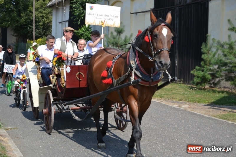 Zdjęcie w galerii na portalu naszraciborz.pl: Barack i Angela na dożynkach w Bolesławiu  wiadomości z regionu