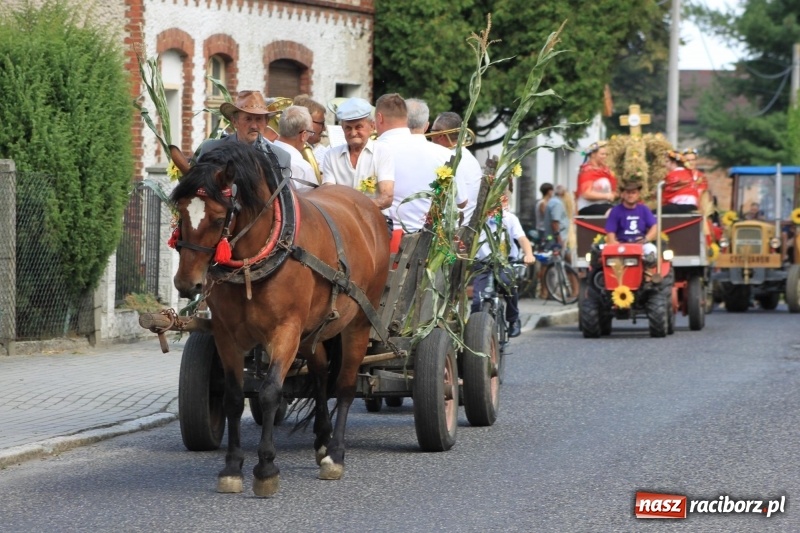 Zdjęcie w galerii na portalu naszraciborz.pl: W Cyprzanowie dziękowali za plony  wiadomości z regionu
