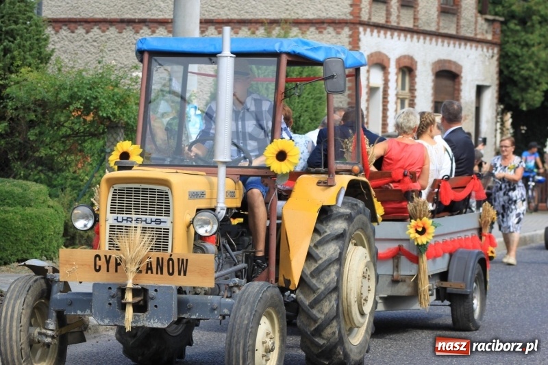 Zdjęcie w galerii na portalu naszraciborz.pl: W Cyprzanowie dziękowali za plony  wiadomości z regionu