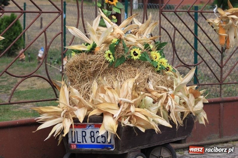 Zdjęcie w galerii na portalu naszraciborz.pl: W Cyprzanowie dziękowali za plony  wiadomości z regionu