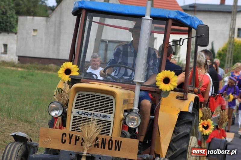 Zdjęcie w galerii na portalu naszraciborz.pl: W Cyprzanowie dziękowali za plony  wiadomości z regionu