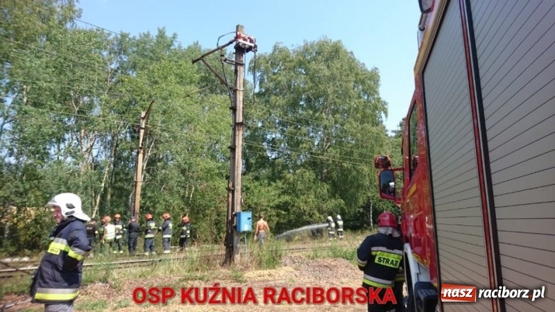 Zdjęcie w galerii na portalu naszraciborz.pl: Zwarcie instalacji wzdłuż torów mogło spowodować duży pożar lasu wiadomości z regionu