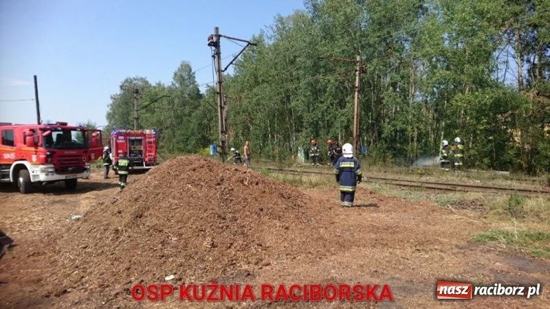 Zdjęcie w galerii na portalu naszraciborz.pl: Zwarcie instalacji wzdłuż torów mogło spowodować duży pożar lasu wiadomości z regionu