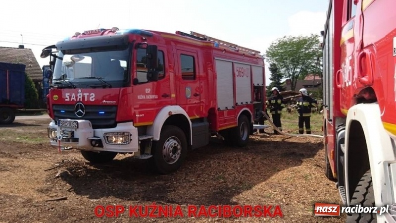 Zdjęcie w galerii na portalu naszraciborz.pl: Zwarcie instalacji wzdłuż torów mogło spowodować duży pożar lasu wiadomości z regionu