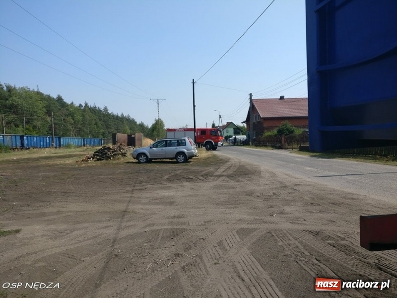 Zdjęcie w galerii na portalu naszraciborz.pl: Zwarcie instalacji wzdłuż torów mogło spowodować duży pożar lasu wiadomości z regionu