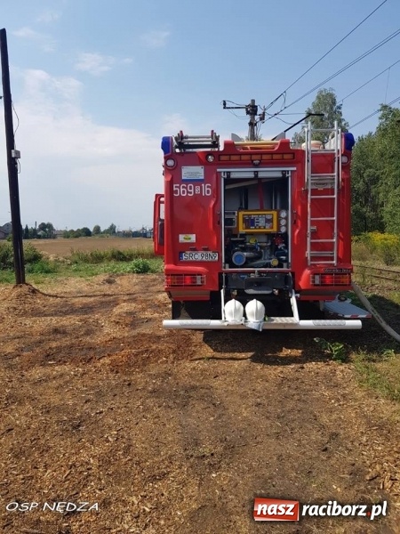 Zdjęcie w galerii na portalu naszraciborz.pl: Zwarcie instalacji wzdłuż torów mogło spowodować duży pożar lasu wiadomości z regionu