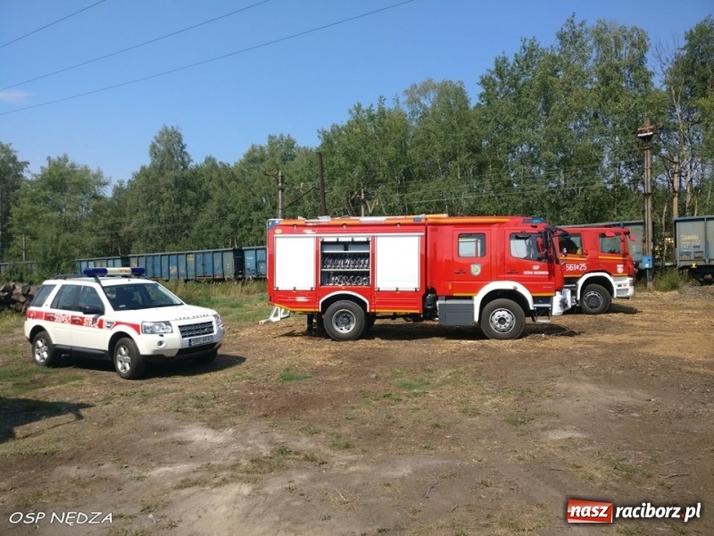 Zdjęcie w galerii na portalu naszraciborz.pl: Zwarcie instalacji wzdłuż torów mogło spowodować duży pożar lasu wiadomości z regionu