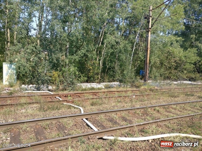 Zdjęcie w galerii na portalu naszraciborz.pl: Zwarcie instalacji wzdłuż torów mogło spowodować duży pożar lasu wiadomości z regionu