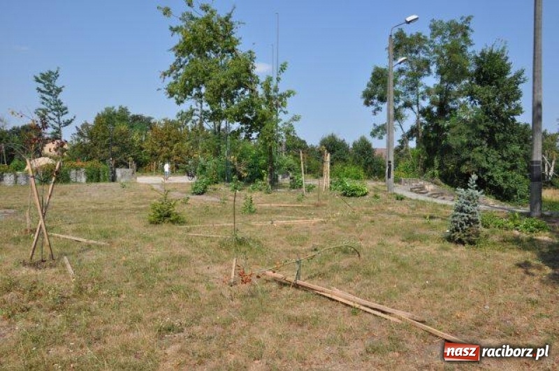 Zdjęcie w galerii na portalu naszraciborz.pl: Wandale w akcji w Kuźni Raciborskiej  wiadomości z regionu