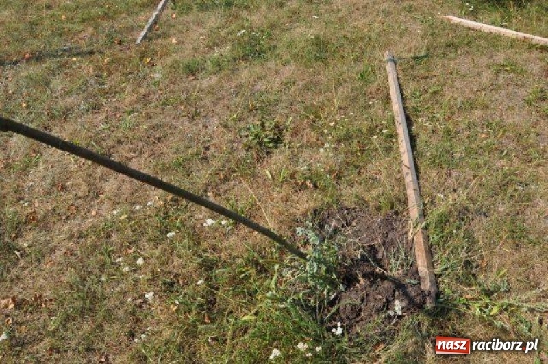 Zdjęcie w galerii na portalu naszraciborz.pl: Wandale w akcji w Kuźni Raciborskiej  wiadomości z regionu