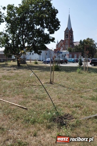 Zdjęcie w galerii na portalu naszraciborz.pl: Wandale w akcji w Kuźni Raciborskiej  wiadomości z regionu