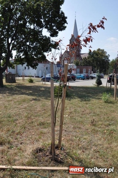 Zdjęcie w galerii na portalu naszraciborz.pl: Wandale w akcji w Kuźni Raciborskiej  wiadomości z regionu