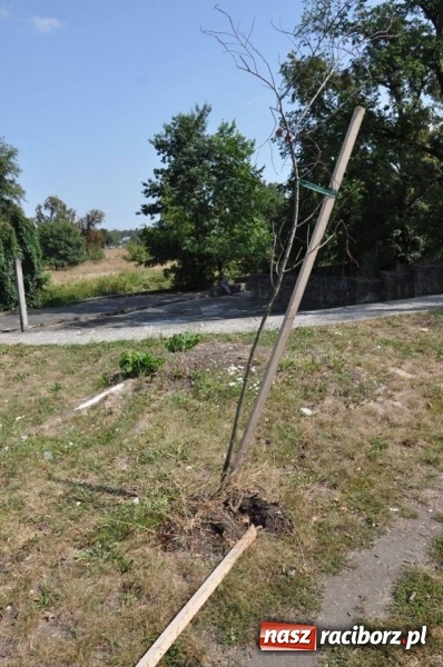 Zdjęcie w galerii na portalu naszraciborz.pl: Wandale w akcji w Kuźni Raciborskiej  wiadomości z regionu