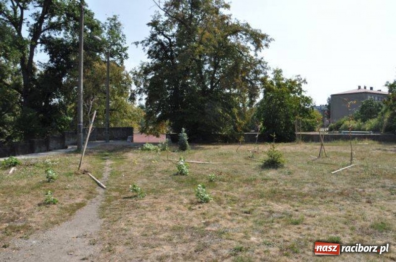 Zdjęcie w galerii na portalu naszraciborz.pl: Wandale w akcji w Kuźni Raciborskiej  wiadomości z regionu