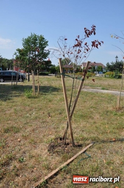 Zdjęcie w galerii na portalu naszraciborz.pl: Wandale w akcji w Kuźni Raciborskiej  wiadomości z regionu