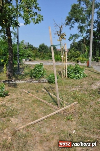 Zdjęcie w galerii na portalu naszraciborz.pl: Wandale w akcji w Kuźni Raciborskiej  wiadomości z regionu