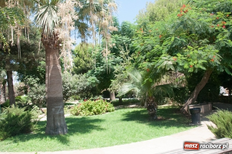 Zdjęcie w galerii na portalu naszraciborz.pl: Raciborzanie ze Źródła tańczyli na Cyprze  wiadomości z regionu