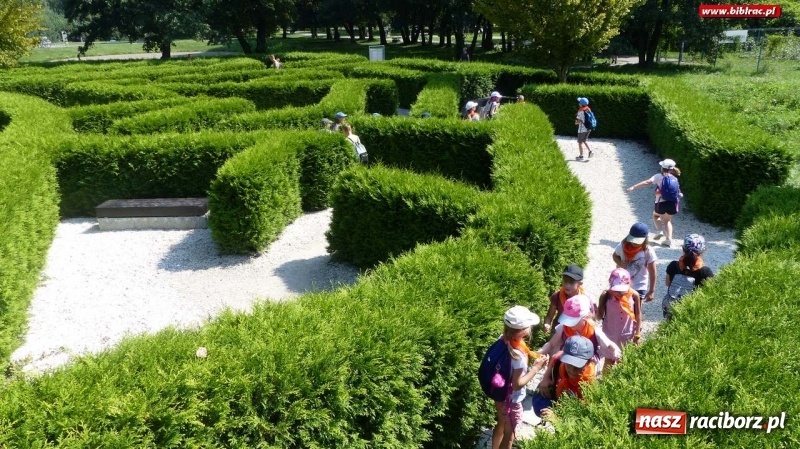 Zdjęcie w galerii na portalu naszraciborz.pl: Uczestnicy Lata z biblioteką w Ogrodzie Doświadczeń w Krakowie wiadomości z regionu