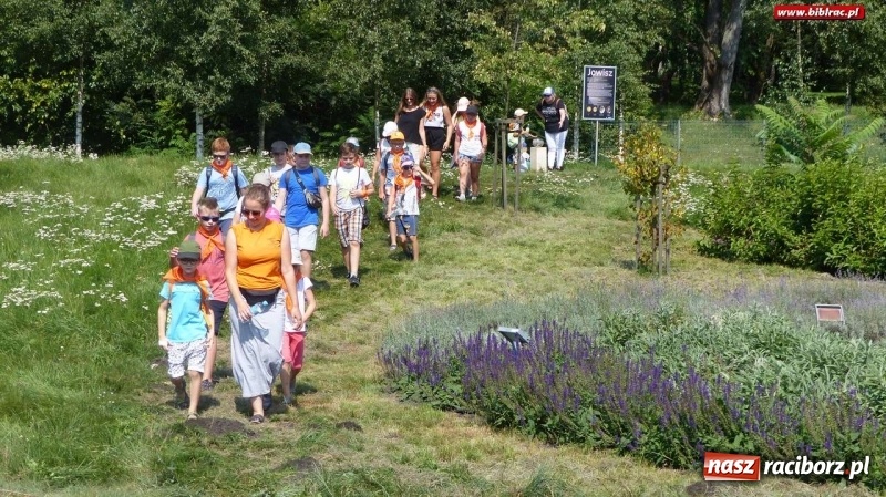 Zdjęcie w galerii na portalu naszraciborz.pl: Uczestnicy Lata z biblioteką w Ogrodzie Doświadczeń w Krakowie wiadomości z regionu