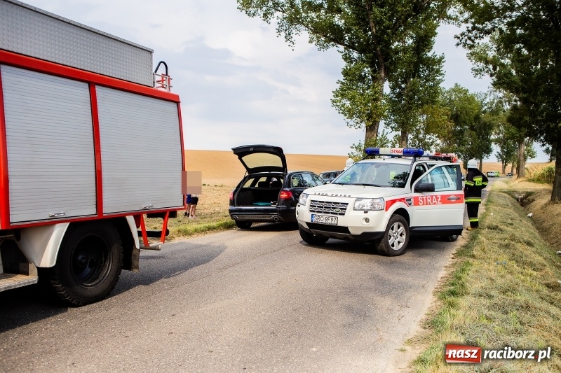 Zdjęcie w galerii na portalu naszraciborz.pl: Ford uderzył w drzewo na trasie Pawłów-Maków wiadomości z regionu