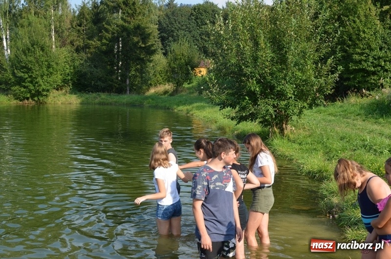 Zdjęcie w galerii na portalu naszraciborz.pl: Od Koziorajki do Czardasza. Polsko-czeskie tańcowanie w Górach Opawskich  wiadomości z regionu