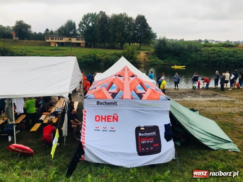 Zdjęcie w galerii na portalu naszraciborz.pl: Na Odrze w Bohuminie ścigają się smocze łodzie  wiadomości z regionu