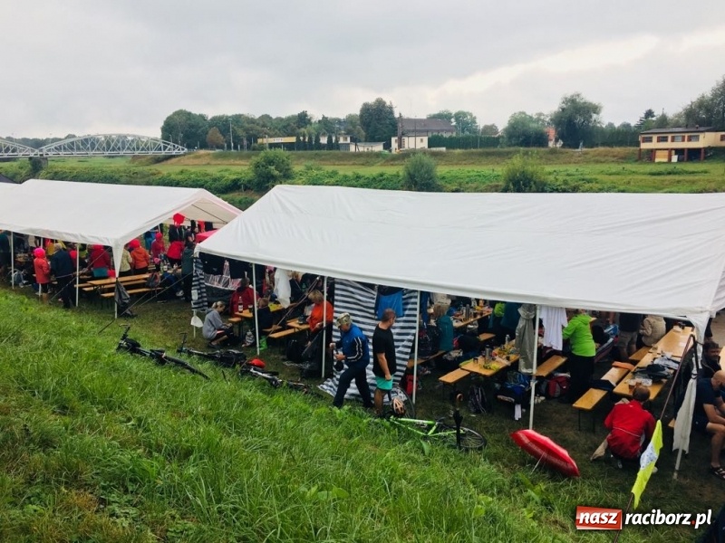 Zdjęcie w galerii na portalu naszraciborz.pl: Na Odrze w Bohuminie ścigają się smocze łodzie  wiadomości z regionu