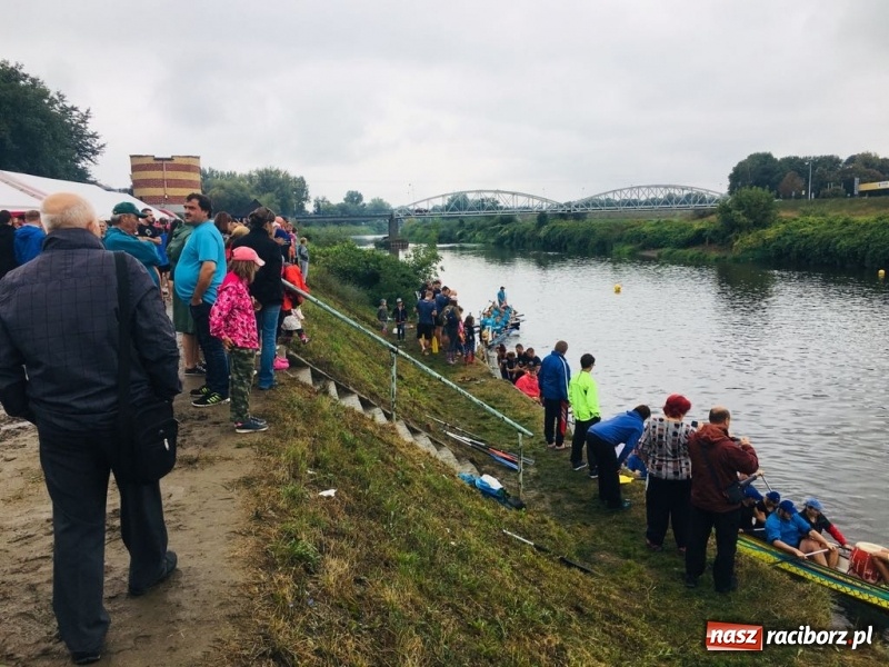 Zdjęcie w galerii na portalu naszraciborz.pl: Na Odrze w Bohuminie ścigają się smocze łodzie  wiadomości z regionu