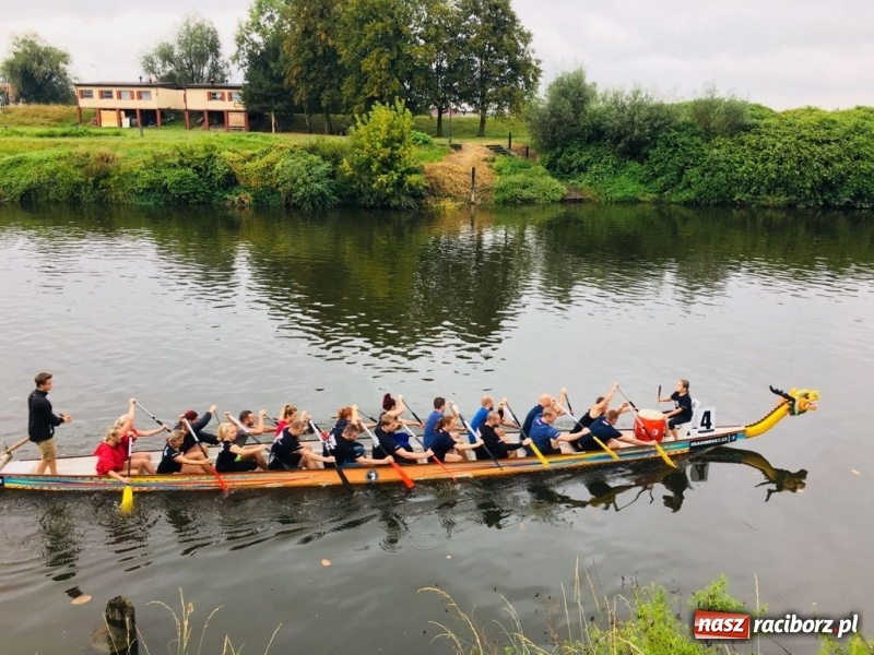 Zdjęcie w galerii na portalu naszraciborz.pl: Na Odrze w Bohuminie ścigają się smocze łodzie  wiadomości z regionu