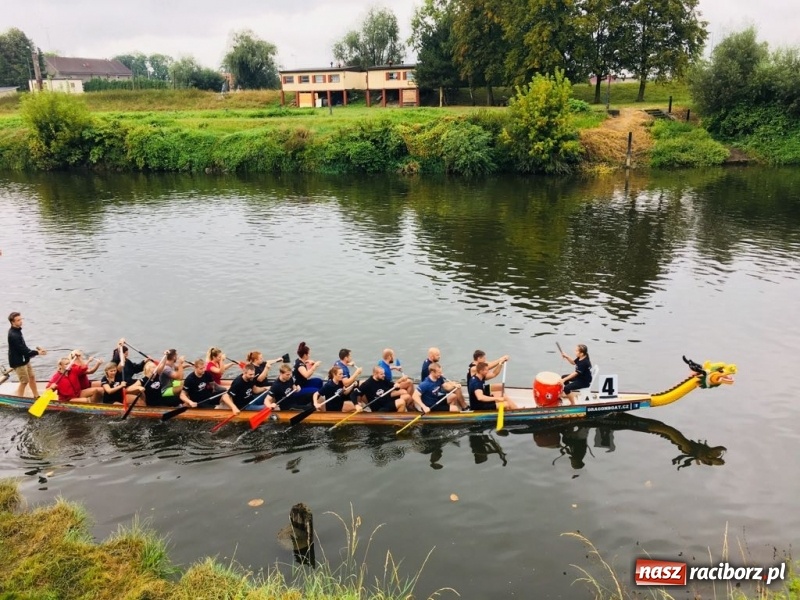 Zdjęcie w galerii na portalu naszraciborz.pl: Na Odrze w Bohuminie ścigają się smocze łodzie  wiadomości z regionu