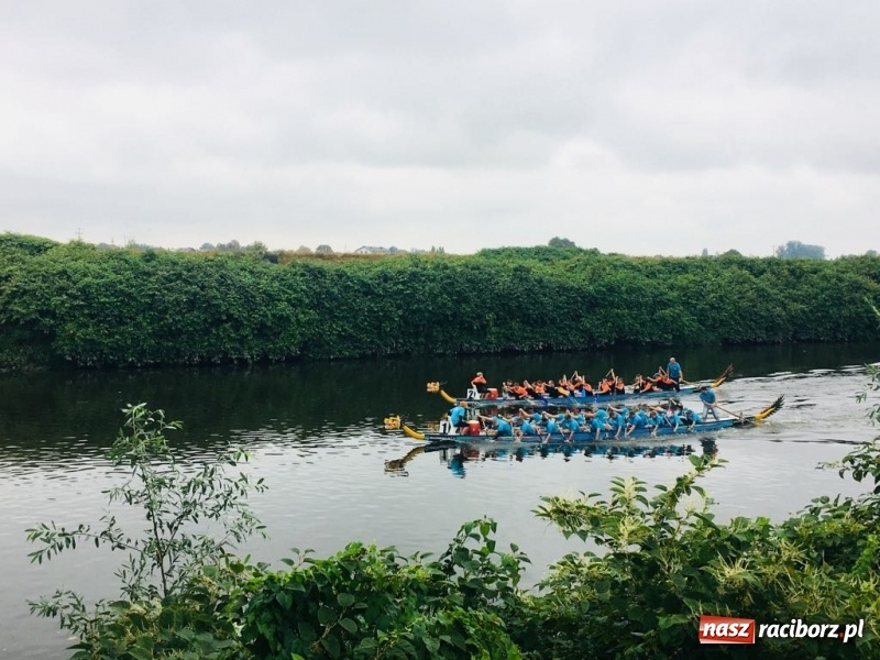 Zdjęcie w galerii na portalu naszraciborz.pl: Na Odrze w Bohuminie ścigają się smocze łodzie  wiadomości z regionu