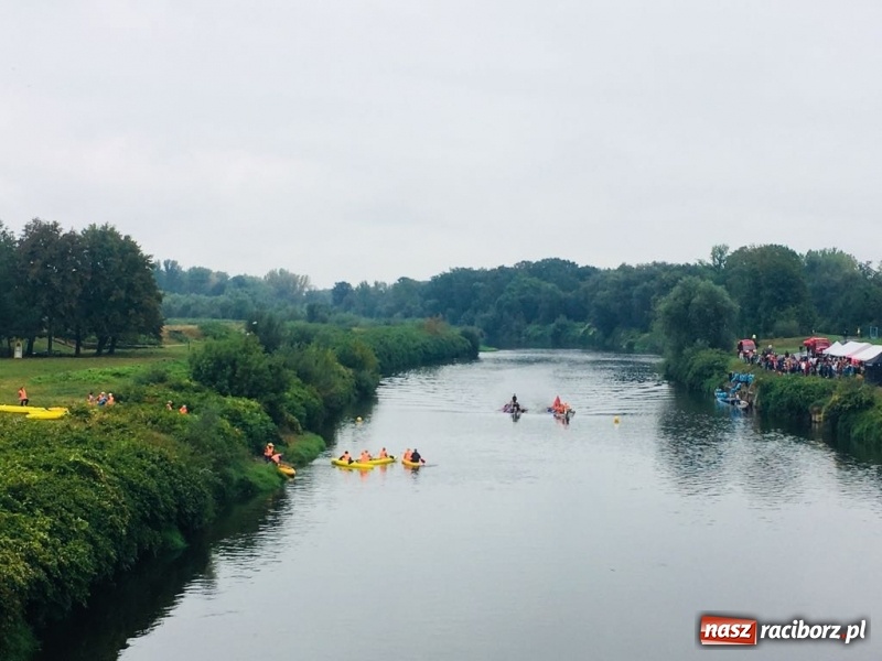 Zdjęcie w galerii na portalu naszraciborz.pl: Na Odrze w Bohuminie ścigają się smocze łodzie  wiadomości z regionu