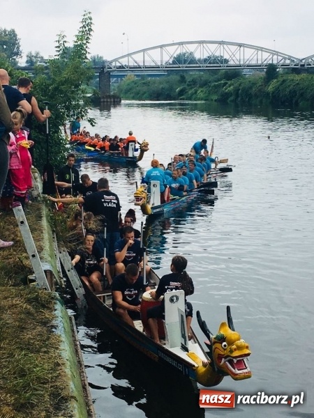 Zdjęcie w galerii na portalu naszraciborz.pl: Na Odrze w Bohuminie ścigają się smocze łodzie  wiadomości z regionu