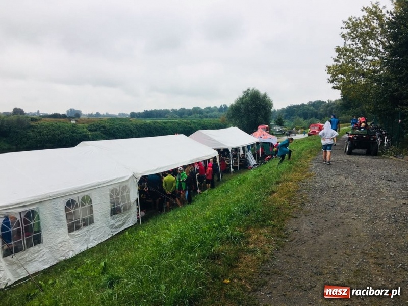 Zdjęcie w galerii na portalu naszraciborz.pl: Na Odrze w Bohuminie ścigają się smocze łodzie  wiadomości z regionu