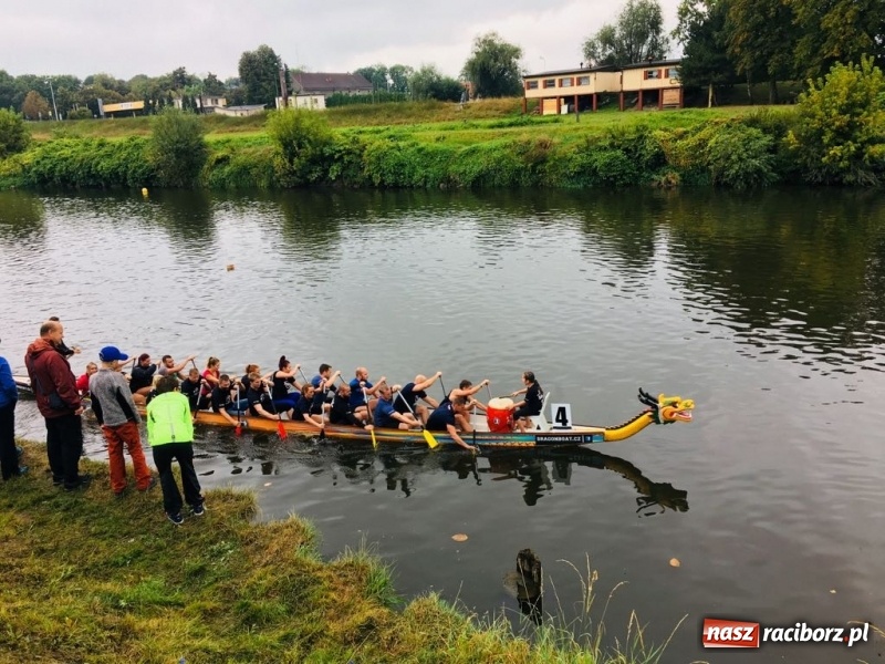 Zdjęcie w galerii na portalu naszraciborz.pl: Na Odrze w Bohuminie ścigają się smocze łodzie  wiadomości z regionu