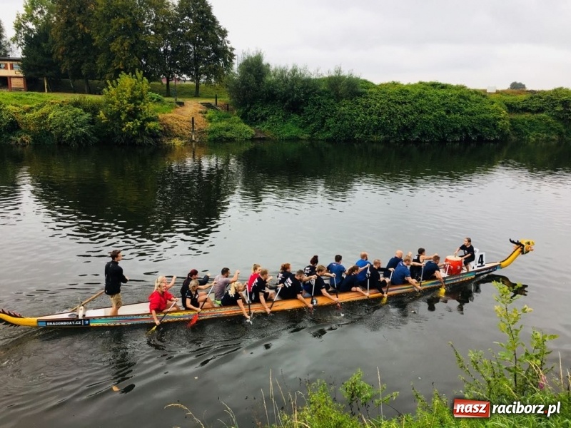 Zdjęcie w galerii na portalu naszraciborz.pl: Na Odrze w Bohuminie ścigają się smocze łodzie  wiadomości z regionu