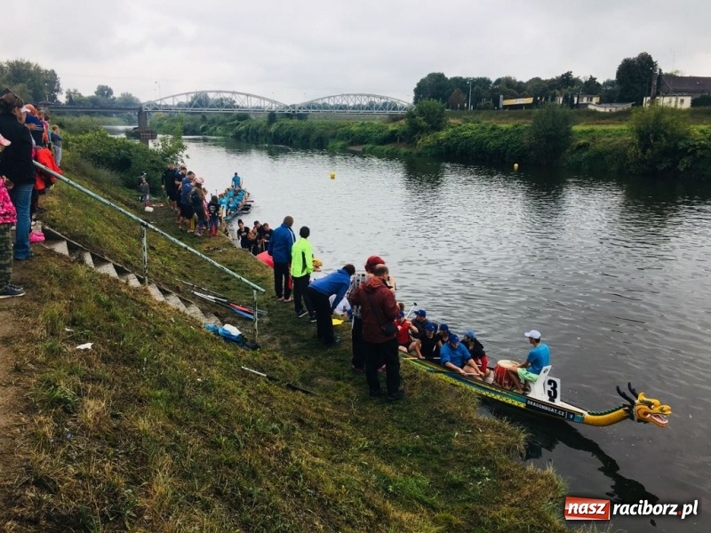 Zdjęcie w galerii na portalu naszraciborz.pl: Na Odrze w Bohuminie ścigają się smocze łodzie  wiadomości z regionu