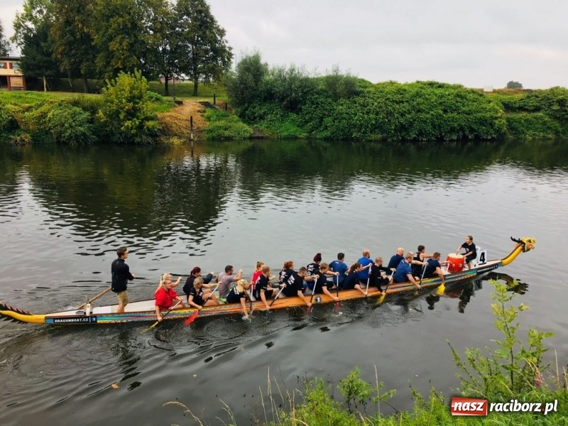 Zdjęcie w galerii na portalu naszraciborz.pl: Na Odrze w Bohuminie ścigają się smocze łodzie  wiadomości z regionu