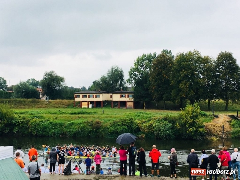 Zdjęcie w galerii na portalu naszraciborz.pl: Na Odrze w Bohuminie ścigają się smocze łodzie  wiadomości z regionu