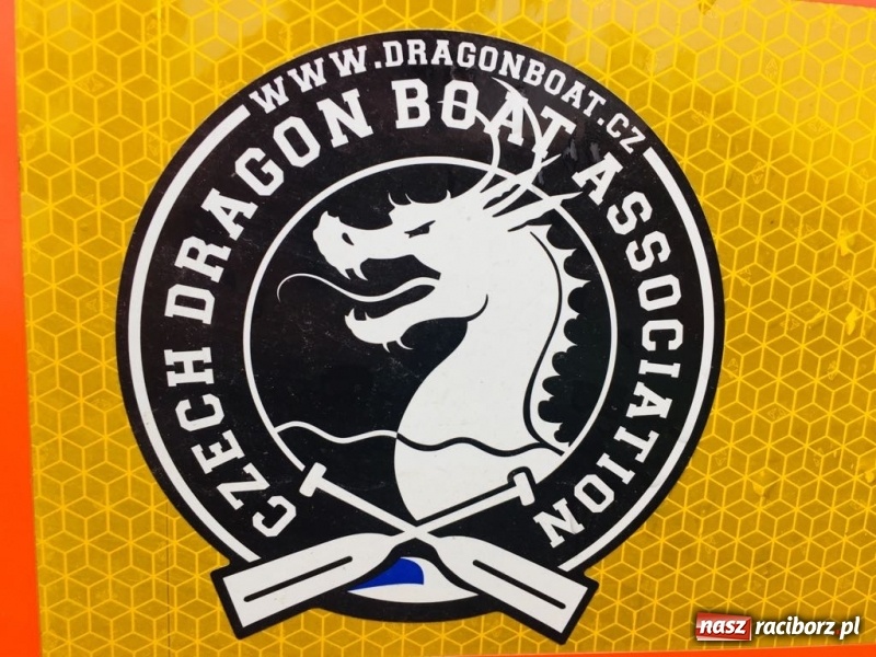 Zdjęcie w galerii na portalu naszraciborz.pl: Na Odrze w Bohuminie ścigają się smocze łodzie  wiadomości z regionu