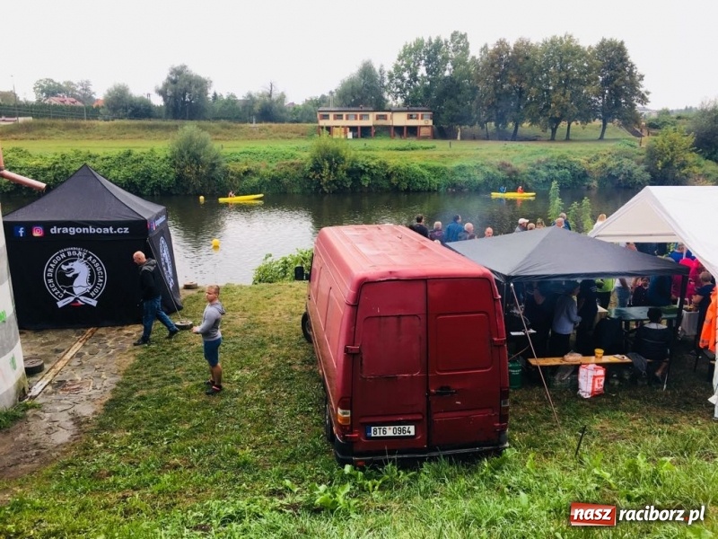 Zdjęcie w galerii na portalu naszraciborz.pl: Na Odrze w Bohuminie ścigają się smocze łodzie  wiadomości z regionu