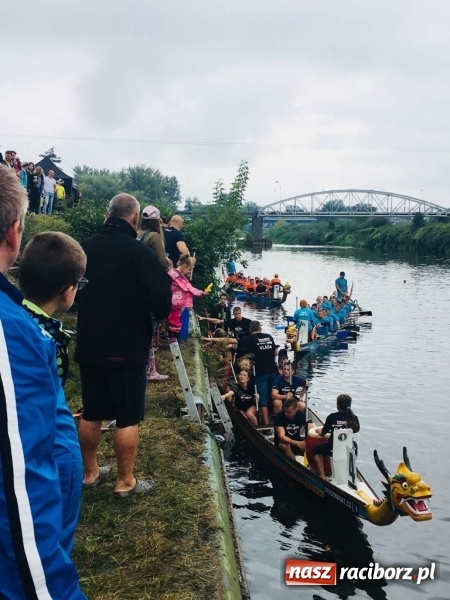 Zdjęcie w galerii na portalu naszraciborz.pl: Na Odrze w Bohuminie ścigają się smocze łodzie  wiadomości z regionu